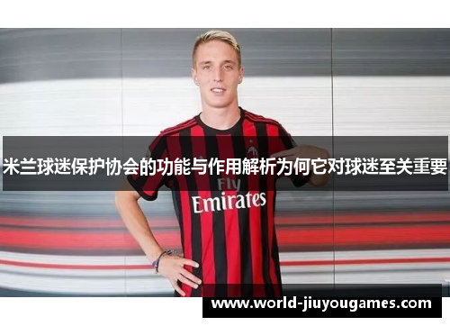 米兰球迷保护协会的功能与作用解析为何它对球迷至关重要